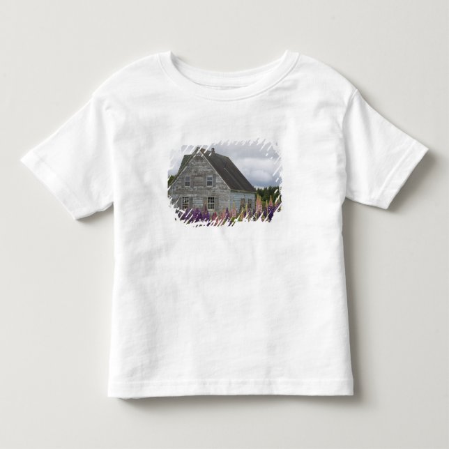 North America, Canada, Prince Edward Island, Toddler T-Shirt (Front)