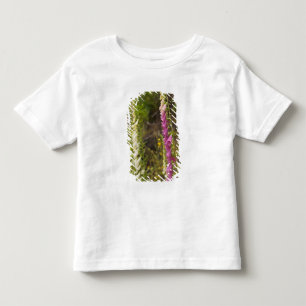 North America, Canada, Queen Charlotte Islands, 2 Toddler T-Shirt