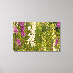 North America, Canada, Queen Charlotte Islands, 5 Canvas Print
