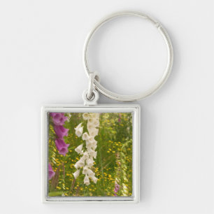 North America, Canada, Queen Charlotte Islands, 5 Key Ring