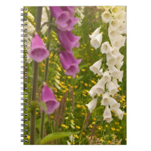 North America, Canada, Queen Charlotte Islands, 5 Notebook