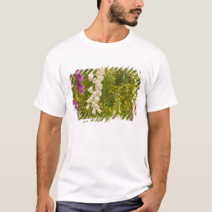 North America, Canada, Queen Charlotte Islands, 5 T-Shirt