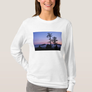 North America, Canada, Vancouver Island, trees T-Shirt