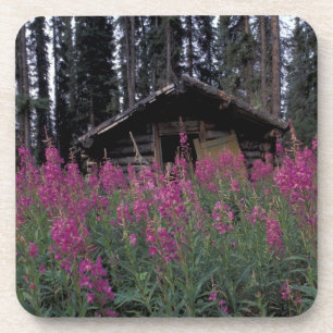 North America, Canada, Yukon. Abandoned trappers Coaster