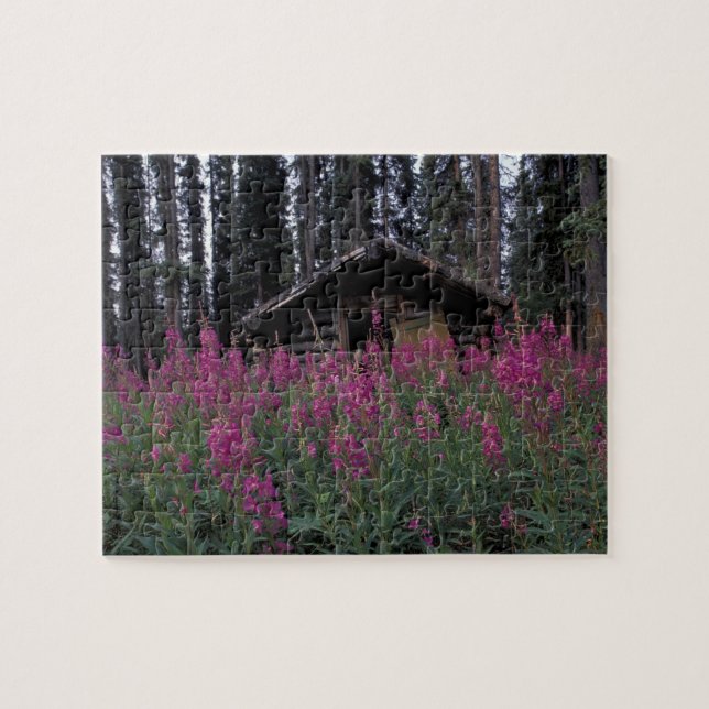 North America, Canada, Yukon. Abandoned trappers Jigsaw Puzzle (Horizontal)