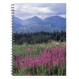 North America, Canada, Yukon. Fireweed blooms Spiral Notebook