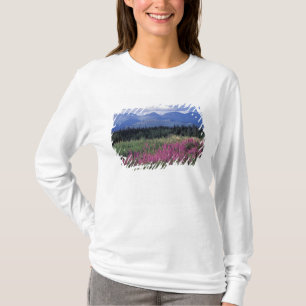 North America, Canada, Yukon. Fireweed blooms T-Shirt