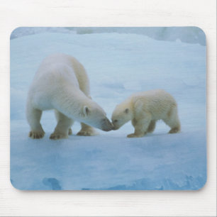 North America, Canadian Arctic. Polar bear Mouse Pad