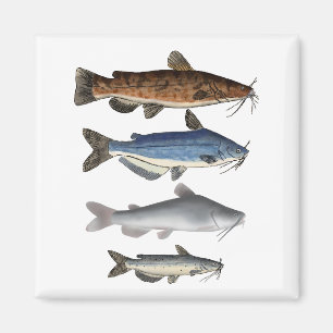 North America Catfish Group Magnet