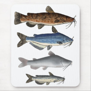 North America Catfish Group Mouse Pad