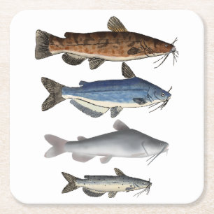 North America Catfish Group Square Paper Coaster