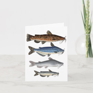 North America Catfish Group Thank You Card