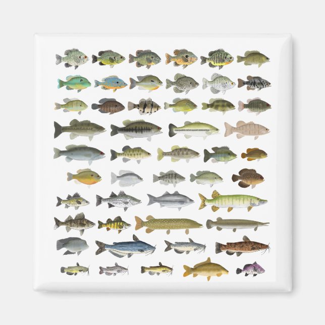 North America Freshwater Fish Group Magnet (Front)