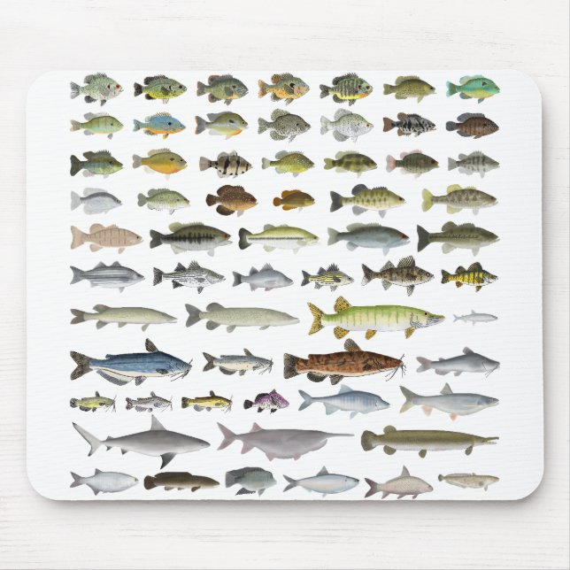 North America Freshwater Fish Group Mouse Pad (Front)