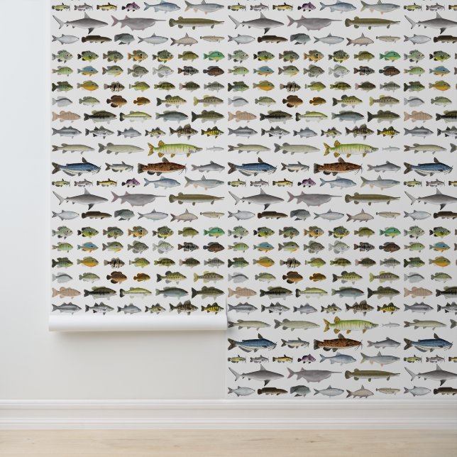 North America Freshwater Fish Group Wallpaper (Application)
