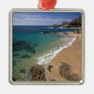 North America, Mexico, Baja California Sur, Metal Tree Decoration