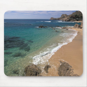 North America, Mexico, Baja California Sur, Mouse Pad