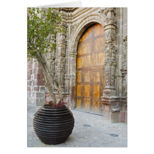 North America, Mexico, Guanajuato state, San 3