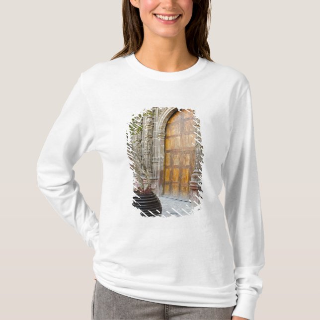 North America, Mexico, Guanajuato state, San 3 T-Shirt (Front)