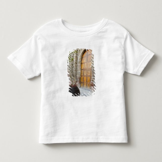 North America, Mexico, Guanajuato state, San 3 Toddler T-Shirt (Front)