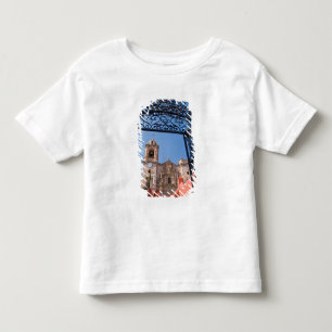 North America, Mexico, Guanajuato State. The Toddler T-Shirt