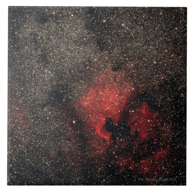 North America Nebula and Pelican Nebula Tile (Front)