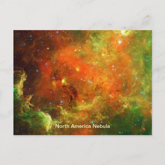 North America Nebula Postcard (Front)