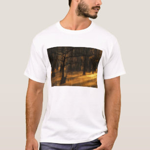 North America, U.S.A., Georgia, George Smith T-Shirt