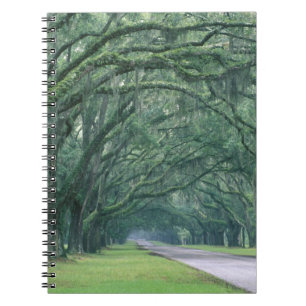 North America, U.S.A., Georgia, Savannah, Spiral Notebook