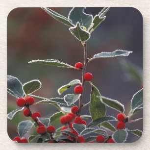 North America, United States, New England. Holly 2 Coaster