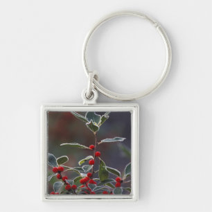 North America, United States, New England. Holly 2 Key Ring
