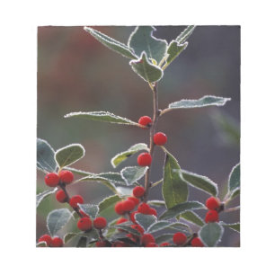 North America, United States, New England. Holly 2 Notepad