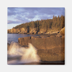 North America, US, ME, The rocky Maine coast. Magnet