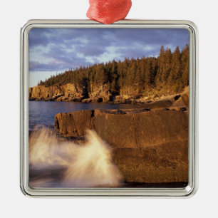 North America, US, ME, The rocky Maine coast. Metal Tree Decoration