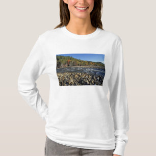 North America, US, NH, A cobble beach on the T-Shirt