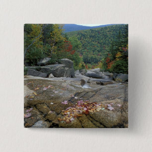 North America, US, NH, Fall foliage in New 15 Cm Square Badge