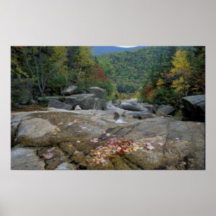North America, US, NH, Fall foliage in New Poster