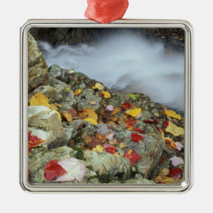 North America, US, NH, Fall in New England. Metal Tree Decoration