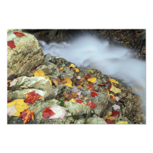 North America, US, NH, Fall in New England. Photo Print