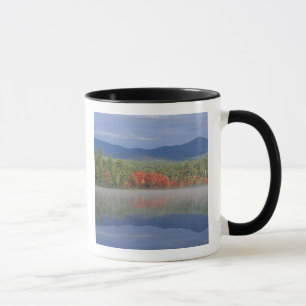 North America, US, NH, Fall reflections in Mug