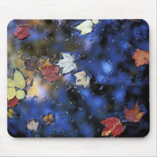 North America, US, NH, Leaves in a pond next Mouse Pad
