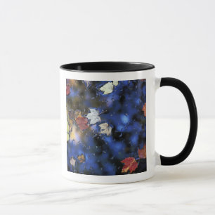 North America, US, NH, Leaves in a pond next Mug