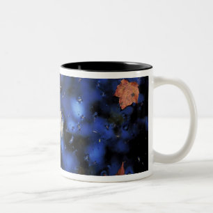North America, US, NH, Leaves in a pond next Two-Tone Coffee Mug