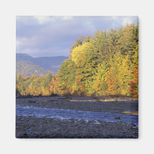 North America, US, NH, Saco River. Cobble Magnet