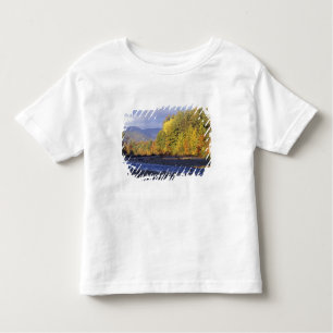 North America, US, NH, Saco River. Cobble Toddler T-Shirt