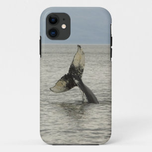 North America, USA, AK, Inside Passage. Humpback Case-Mate iPhone Case