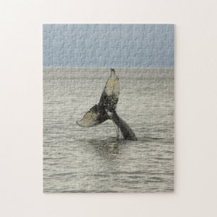 North America, USA, AK, Inside Passage. Humpback Jigsaw Puzzle