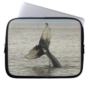 North America, USA, AK, Inside Passage. Humpback Laptop Sleeve