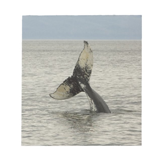 North America, USA, AK, Inside Passage. Humpback Notepad (Front)