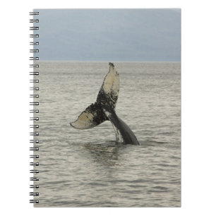 North America, USA, AK, Inside Passage. Humpback Spiral Notebook